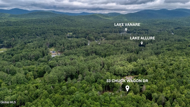 33 Chuckwagon Dr, Lake Luzerne, NY 12846 - photo 4
