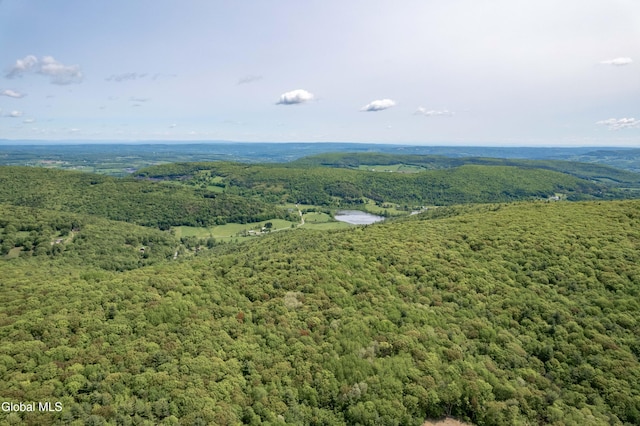 1219 Mill Valley Rd, Middleburgh, NY 12122 - photo 31
