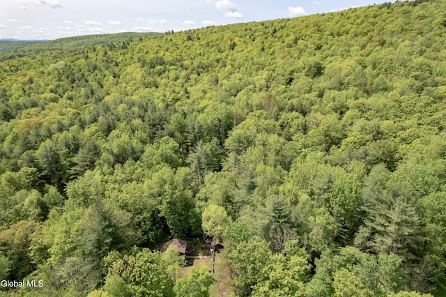 1219 Mill Valley Rd, Middleburgh, NY 12122 - photo 26