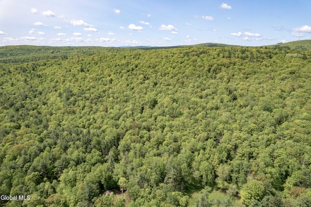 1219 Mill Valley Rd, Middleburgh, NY 12122 - photo 32