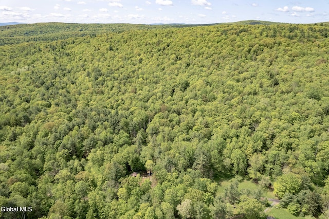 1219 Mill Valley Rd, Middleburgh, NY 12122 - photo 27