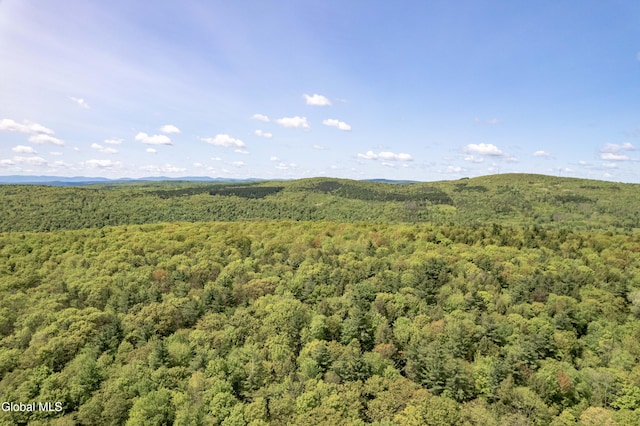 1219 Mill Valley Rd, Middleburgh, NY 12122 - photo 30