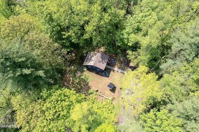1219 Mill Valley Rd, Middleburgh, NY 12122 - photo 29