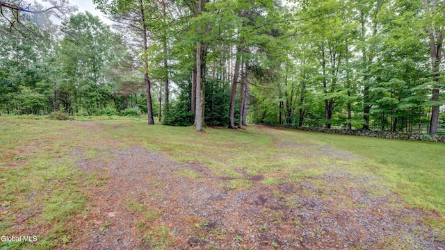 585 Sinclair Rd, Northampton, NY 12134 - photo 51