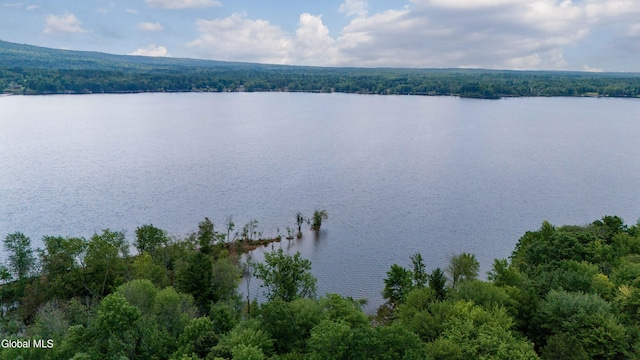 585 Sinclair Rd, Northampton, NY 12134 - photo 3