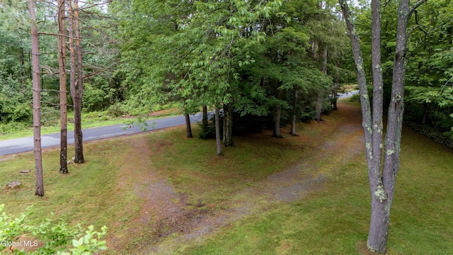 585 Sinclair Rd, Northampton, NY 12134 - photo 62