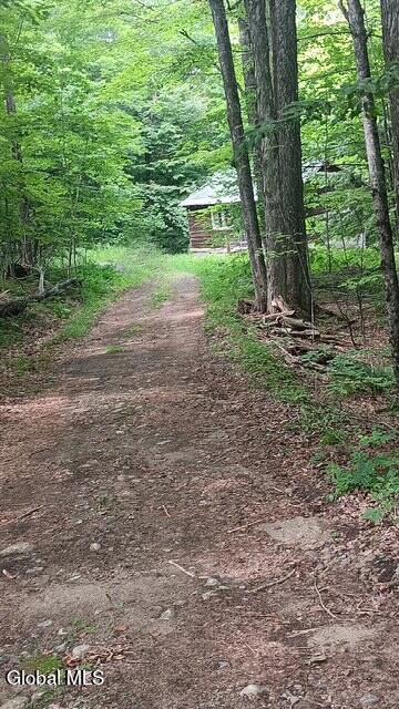 79 Park Rd, Johnsburg, NY 12843 - photo 1