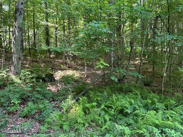 79 Park Rd, Johnsburg, NY 12843 - photo 2