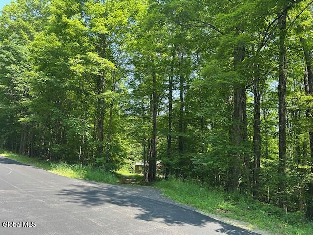 79 Park Rd, Johnsburg, NY 12843 - photo 6