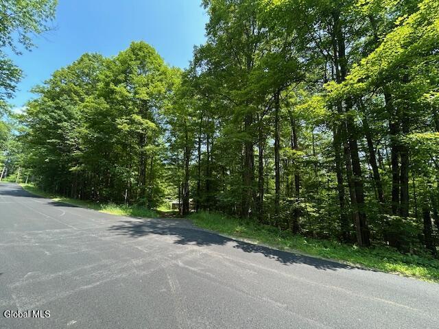 79 Park Rd, Johnsburg, NY 12843 - photo 7