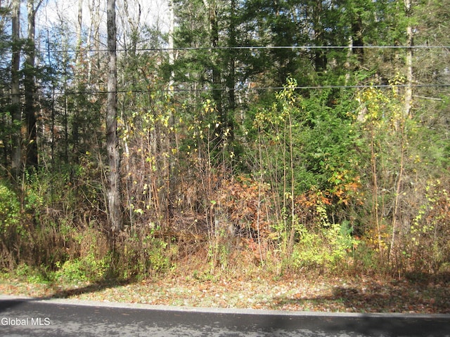 L2 Strong Rd, Northumberland, NY 12831 - photo 2