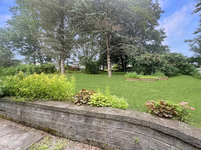 32 Abeling St, Canajoharie, NY 13317 - view of green lawn