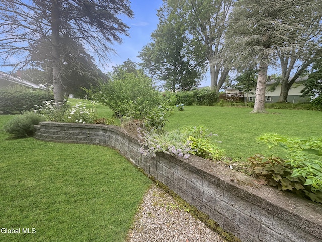 32 Abeling St, Canajoharie, NY 13317 - view of grassy yard