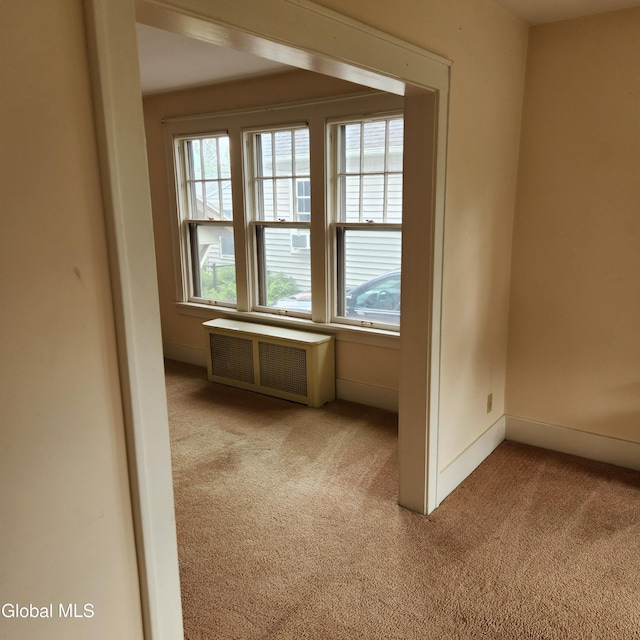 1306 Garner Ave, Schenectady, NY 12309 - photo 17
