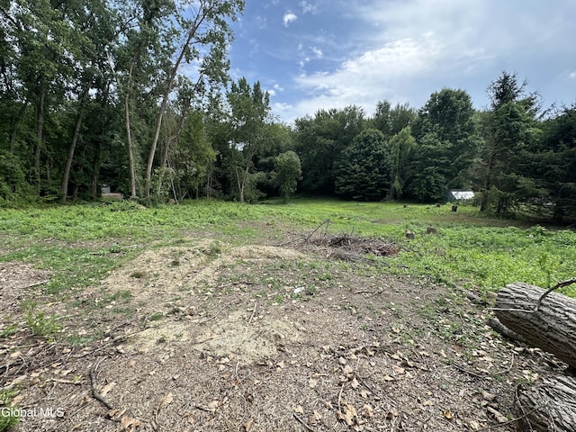 1631 Tina Ln, Schodack, NY 12033 - photo 3