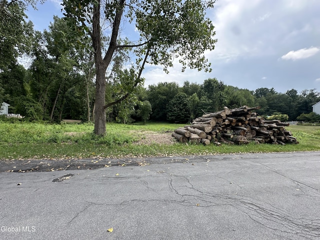 1631 Tina Ln, Schodack, NY 12033 - photo 4