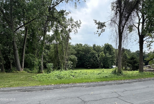 1631 Tina Ln, Schodack, NY 12033 - photo 2