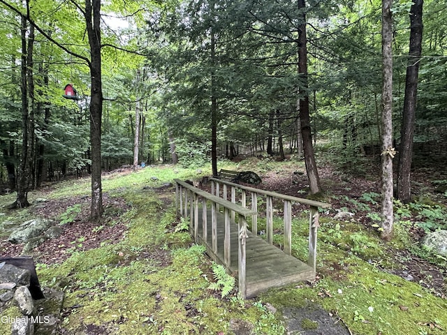 24 Hollow Rd, Hague, NY 12836 - photo 20