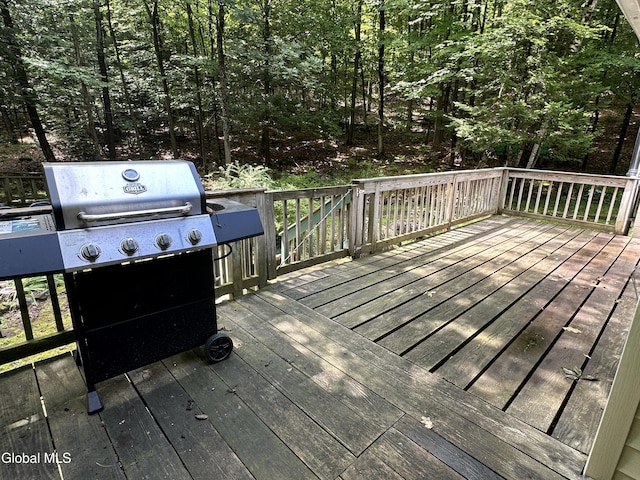 24 Hollow Rd, Hague, NY 12836 - photo 18