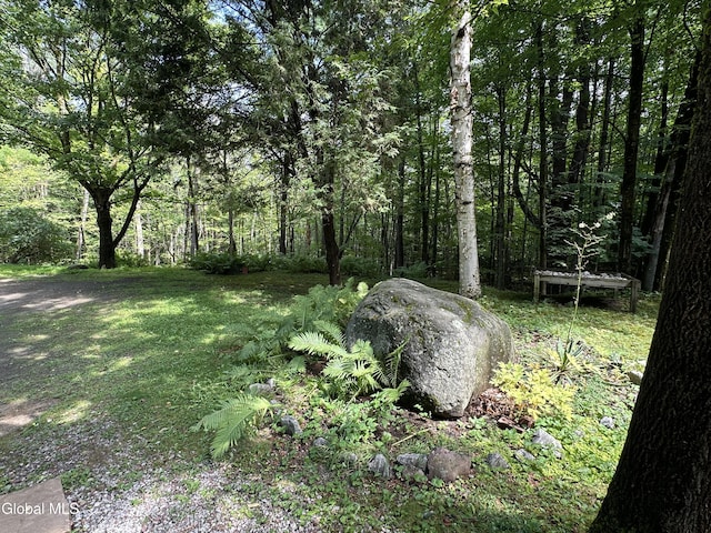 24 Hollow Rd, Hague, NY 12836 - photo 25