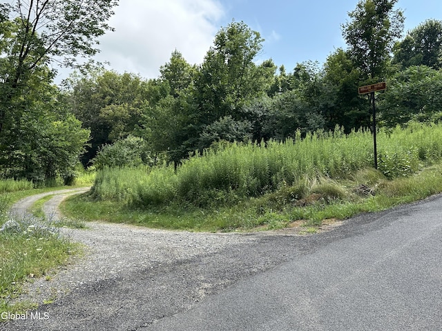 24 Hollow Rd, Hague, NY 12836 - photo 29