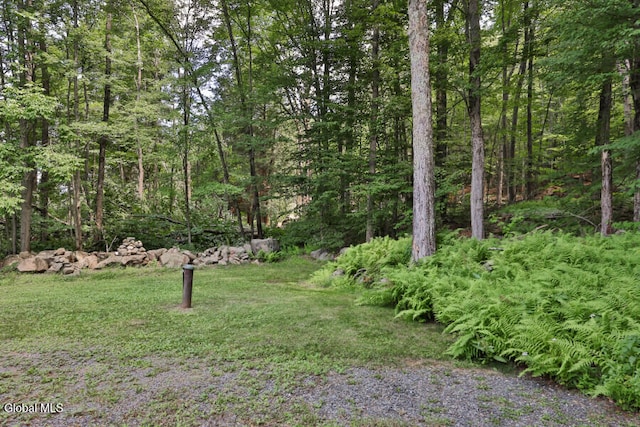 104 Lawson Rd, Sand Lake, NY 12153 - photo 39