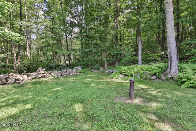 104 Lawson Rd, Sand Lake, NY 12153 - photo 41