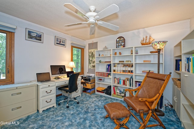 35 Warwick Way, Niskayuna, NY 12309 - office space featuring plenty of natural light, a textured ceiling, ceiling fan, and carpet floors
