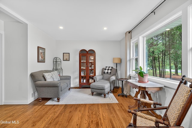 55 Crescent Ave, Saratoga Springs, NY 12866 - living room with light wood-style floors and recessed lighting