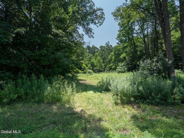 410 Middle Grove Rd, Greenfield, NY 12850 - photo 35