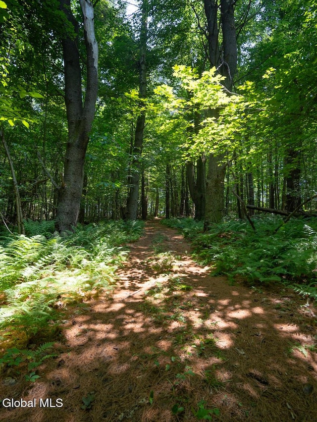 410 Middle Grove Rd, Greenfield, NY 12850 - photo 40