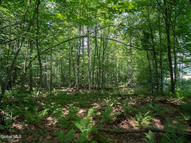 410 Middle Grove Rd, Greenfield, NY 12850 - photo 44