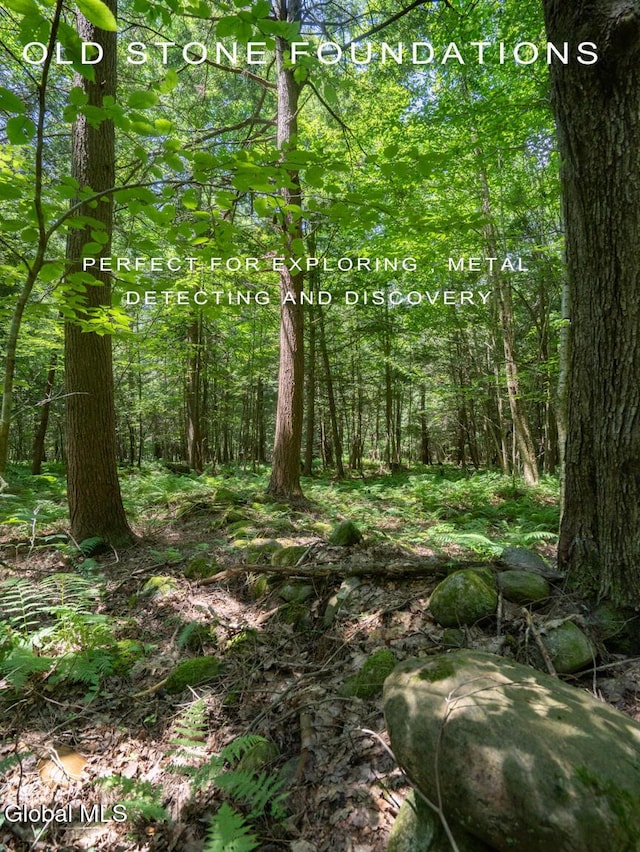 410 Middle Grove Rd, Greenfield, NY 12850 - photo 48