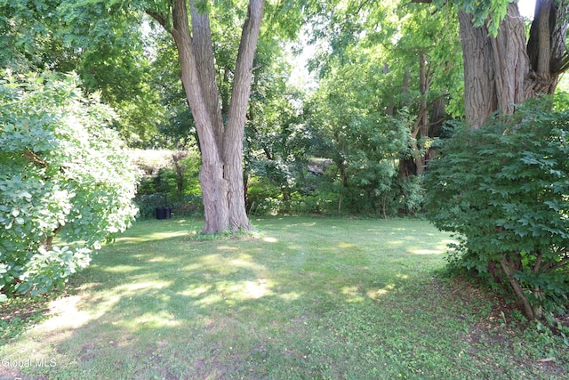 9 Lindberg Ct, Scotia, NY 12302 - photo 41