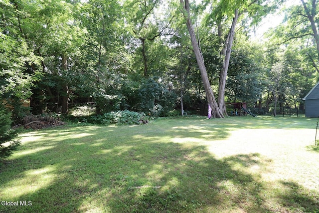 9 Lindberg Ct, Scotia, NY 12302 - photo 45