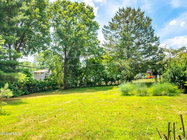 19 Drawbridge Dr, Guilderland, NY 12203 - view of green lawn