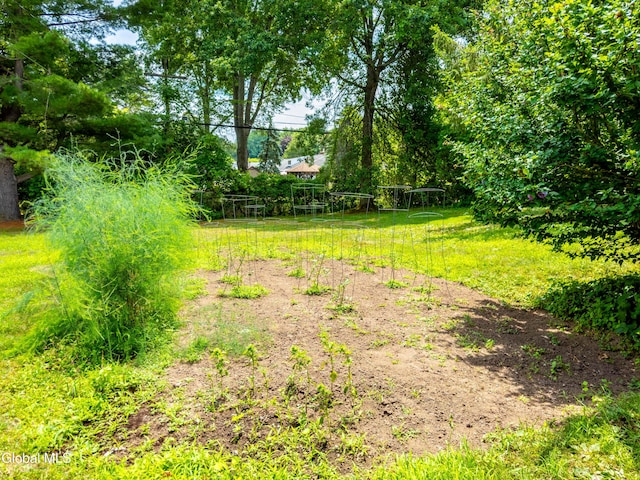 19 Drawbridge Dr, Guilderland, NY 12203 - view of yard