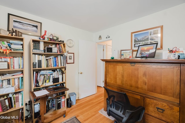 19 Drawbridge Dr, Guilderland, NY 12203 - home office with light wood-type flooring