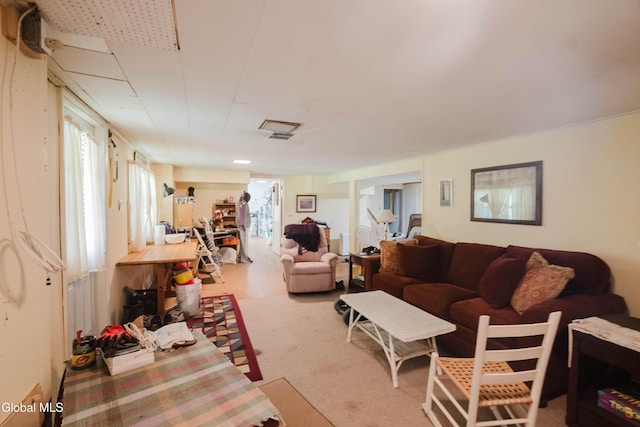 19 Drawbridge Dr, Guilderland, NY 12203 - living room featuring plenty of natural light and light colored carpet