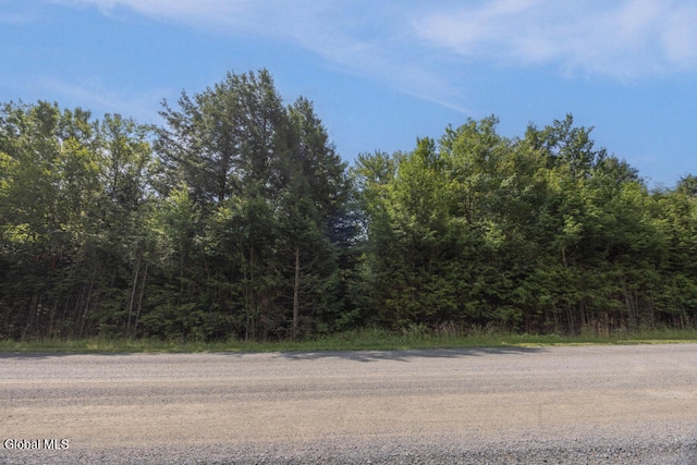 87 Pond View Rd, Grafton, NY 12138 - photo 3