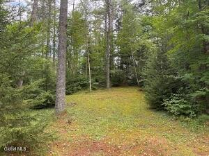 30 Kenakwar Ln, North Hudson, NY 12855 - photo 12