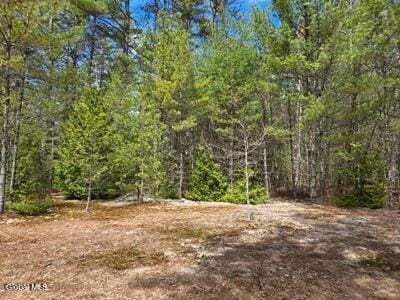 30 Kenakwar Ln, North Hudson, NY 12855 - photo 13
