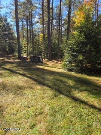 30 Kenakwar Ln, North Hudson, NY 12855 - photo 16