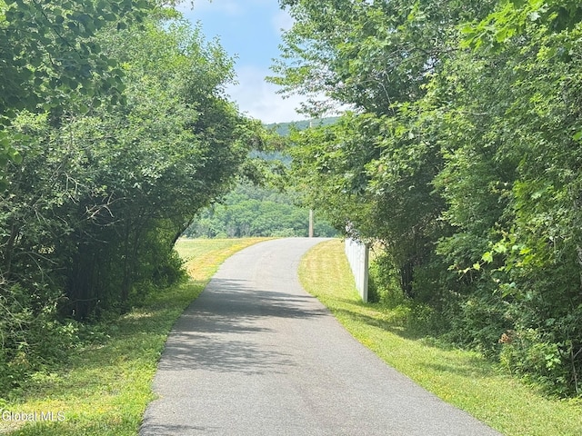 2960 New Scotland Rd, New Scotland, NY 12186 - photo 10