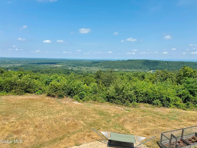 2960 New Scotland Rd, New Scotland, NY 12186 - photo 55