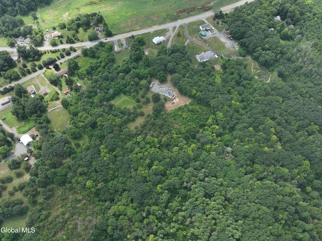2960 New Scotland Rd, New Scotland, NY 12186 - photo 5