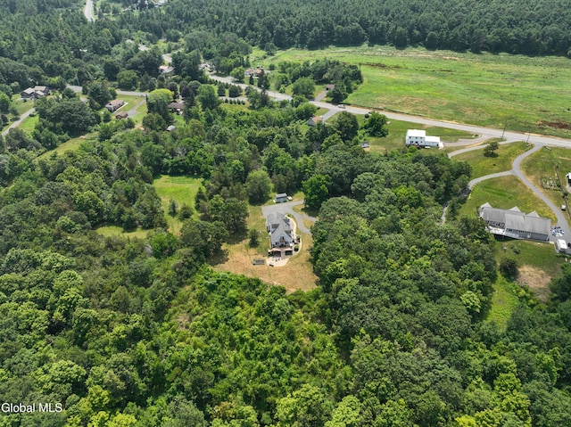 2960 New Scotland Rd, New Scotland, NY 12186 - photo 13