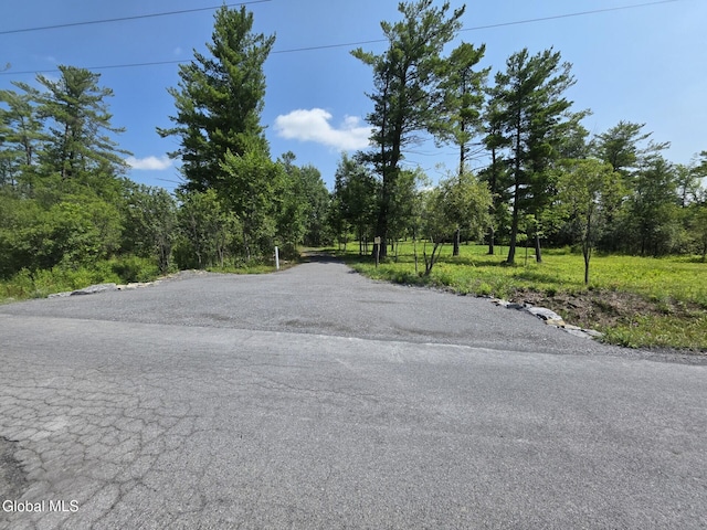 L15.21 Zimmer Rd, Knox, NY 12023 - photo 2