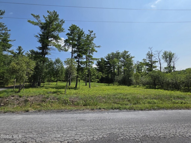 L15.21 Zimmer Rd, Knox, NY 12023 - photo 4