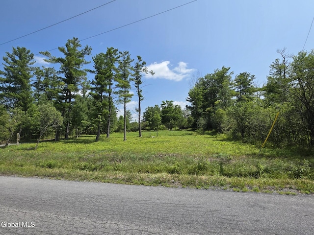 L15.21 Zimmer Rd, Knox, NY 12023 - photo 5